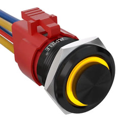 10 Amp 22mm Momentary Push Button Switch Angel Eye LED Waterproof Stainless Steel Round Self Reset 7/8'' 1NO 1NC