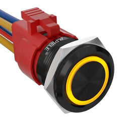 10 Amp 22mm Momentary Push Button Switch Angel Eye LED Waterproof Stainless Steel Round Self Reset 7/8'' 1NO 1NC