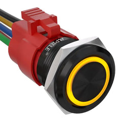 5 Amp 22mm Momentary Push Button Switch Ring Led Car Metal with Socket Plug 1NO1NC SPDT ON/Off