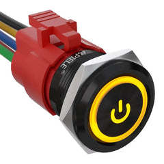 5 Amp 22mm Momentary Push Button Switch Ring Led Car Metal with Socket Plug 1NO1NC SPDT ON/Off