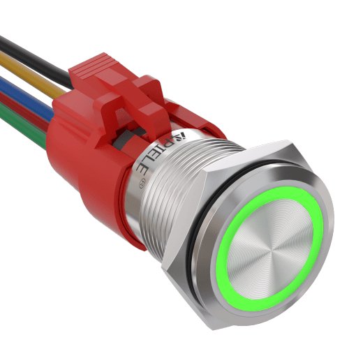 19mm Momentary Push Button Switch with LED and Wire Socket Plug Self-Reset - Green/Stainless steel-Flat Head